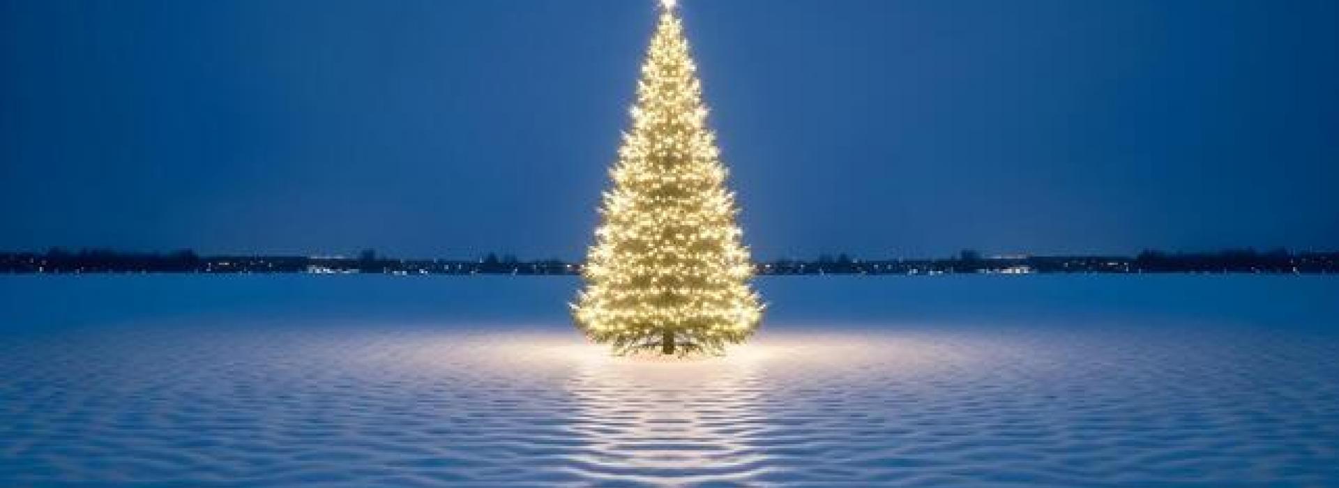 Christmas Header 001